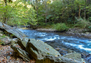 Beautiful Creek