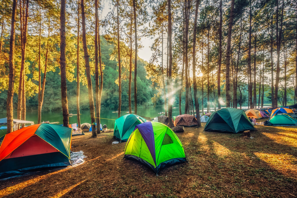 Group of Tents in the Woods