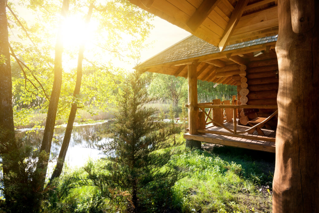 Beautiful Cabin in a Forest